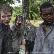 The Walking Dead, AMC