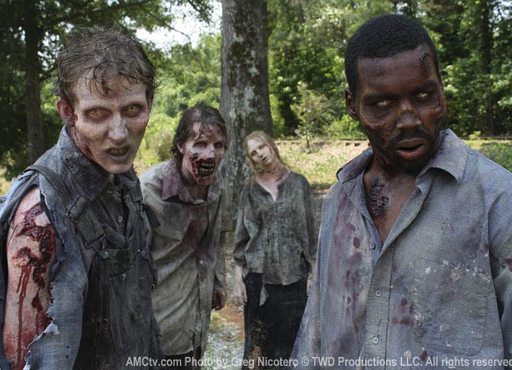 The Walking Dead, AMC